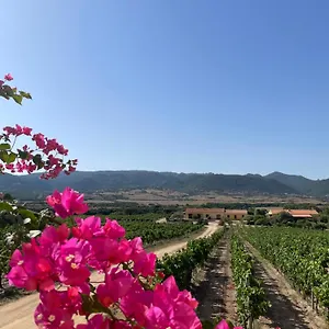 Campesi Casale Tra Le Vigne Aglientu